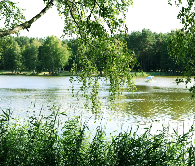 ドルスキニンカイ / Druskininkai