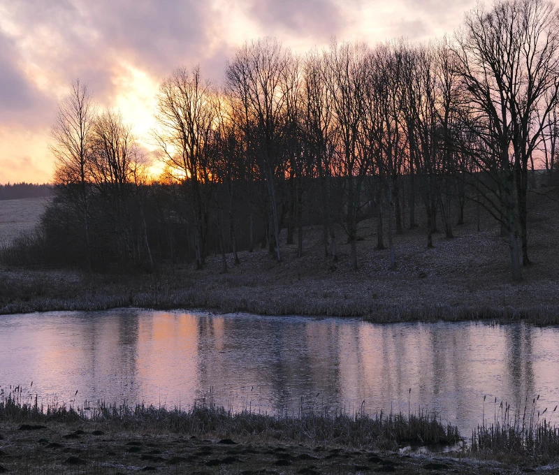 プルンゲ / Plungė